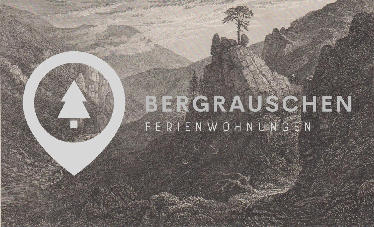 Bergrauschen - Waldloft - Preise Inklusive Waesche Apartment Goslar Luaran gambar