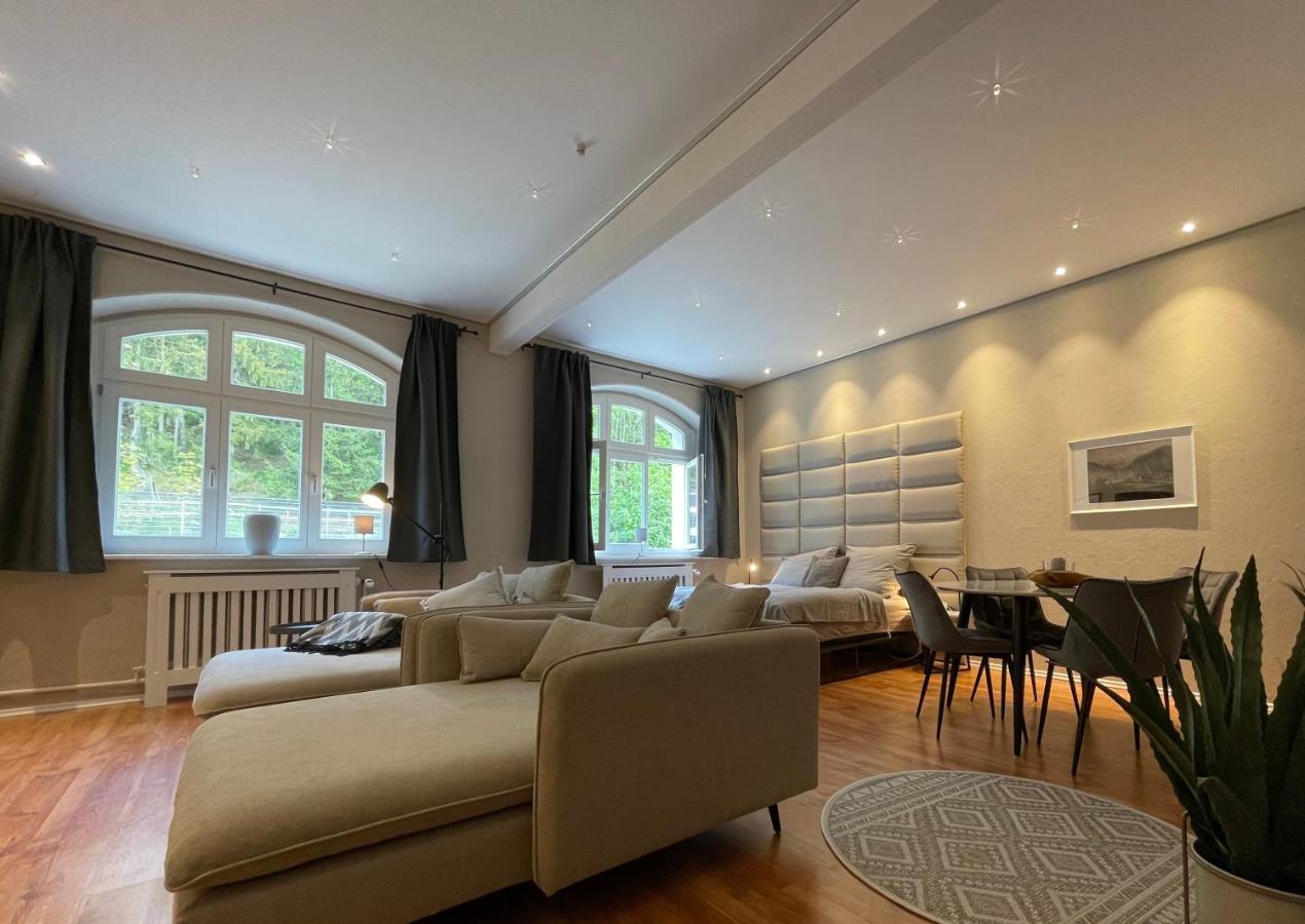 Bergrauschen - Waldloft - Preise Inklusive Waesche Apartment Goslar Luaran gambar